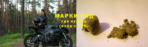 эйфоретик Аркадак