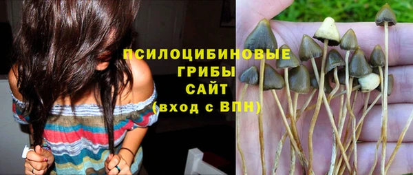 эйфоретик Аркадак